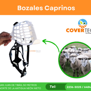 Bozal caprino