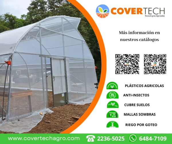 Ambientes protegidos